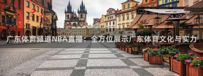 广东体育频道NBA直播：全方位展示广东体育文化与实力