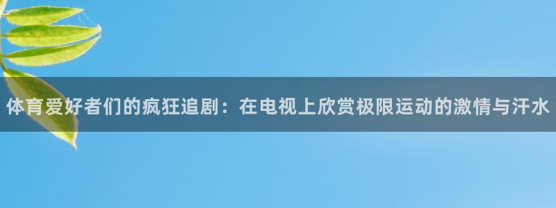 体育爱好者们的疯狂追剧：在电视上欣赏极限运动的激情与汗水